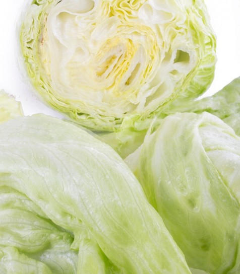 Lechuga