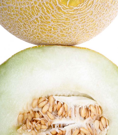 Melón Galia