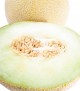 Melón Galia