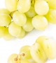 Uvas