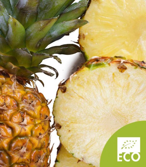 Piña Costa Rica Ecológica