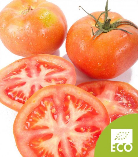 Tomate Ensalada Ecológico