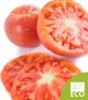 Tomate Rosa Ecológico