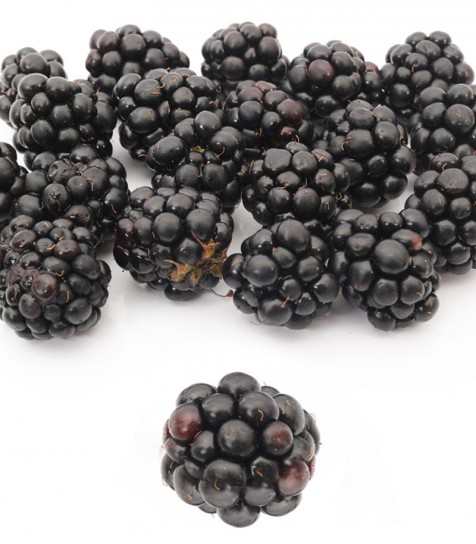 Moras