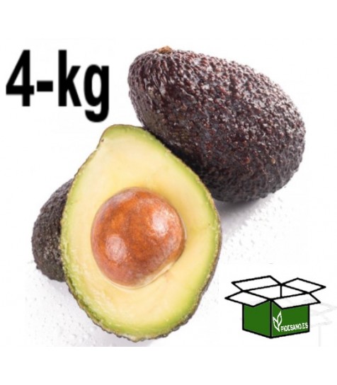 Aguacate Caja 4 kg aprox.